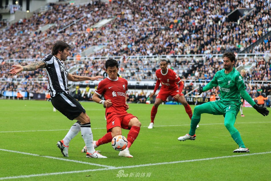 他不仅是终 他不仅是终